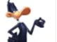 daffy duck