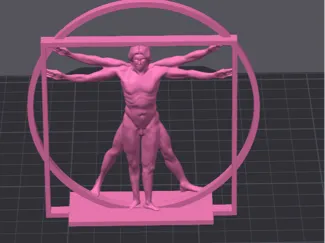 vitruvian man