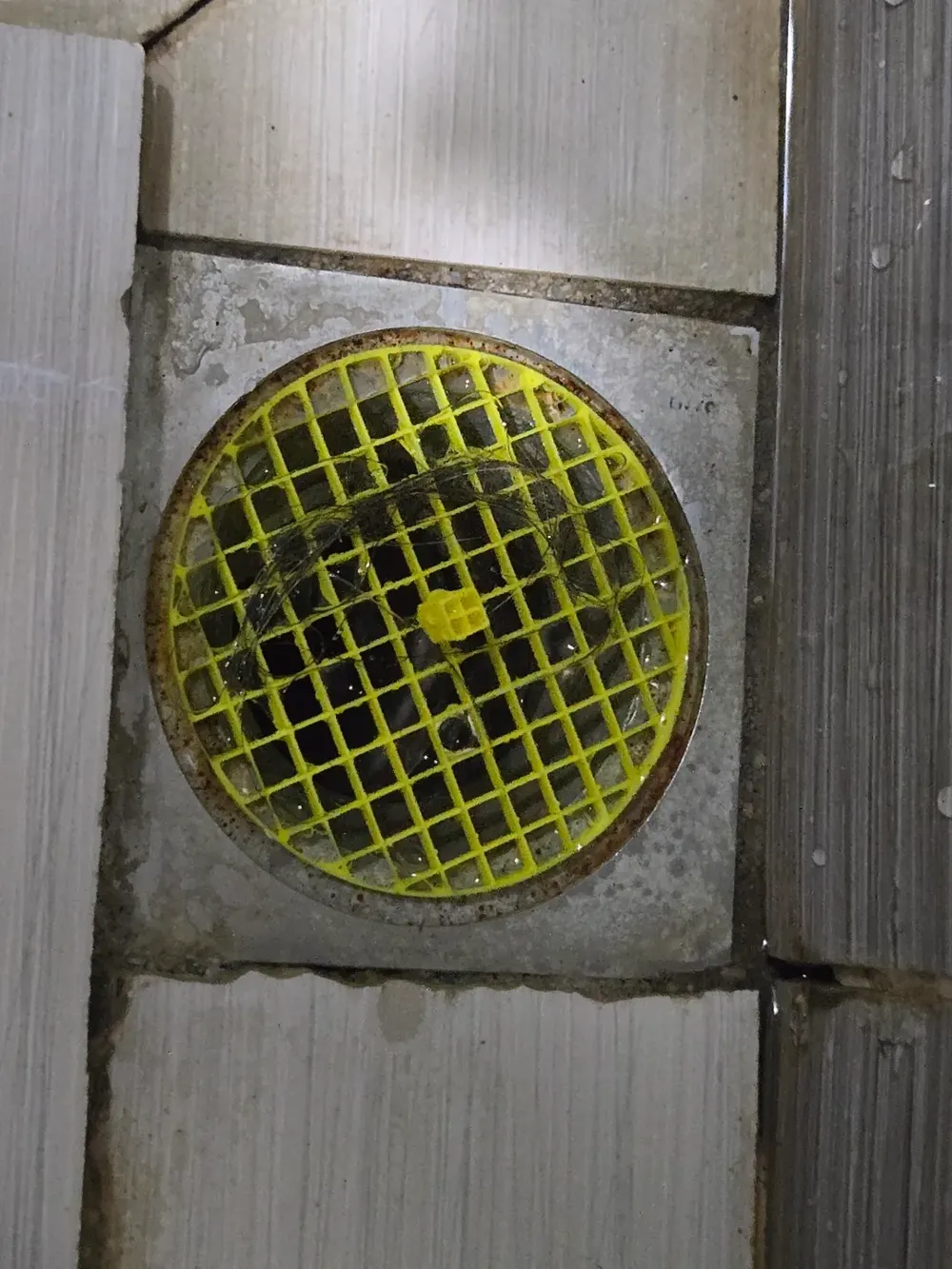 Disposable Bathroom Drain Filter by jams_Lee MakerWorld