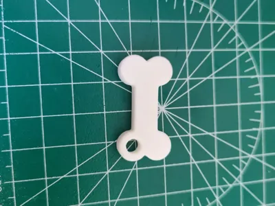 Bone Keychain Keyhanger
