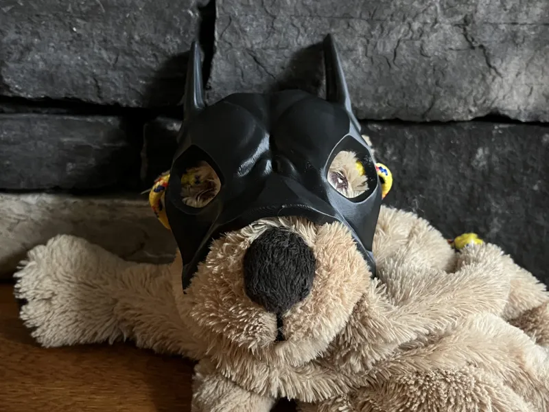 Dog Mask with Holes