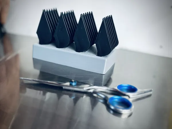 https://makerworld.bblmw.com/makerworld/model/DSM00000000717209/design/2024-10-20_lzctb4xpjc3w.jpeg