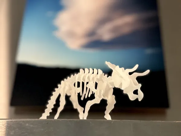https://makerworld.bblmw.com/makerworld/model/DSM00000000717255/design/2024-10-20_1blb6n7als25.jpeg