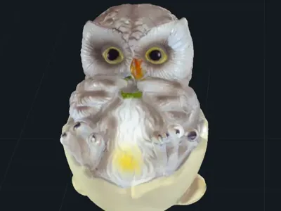Owl