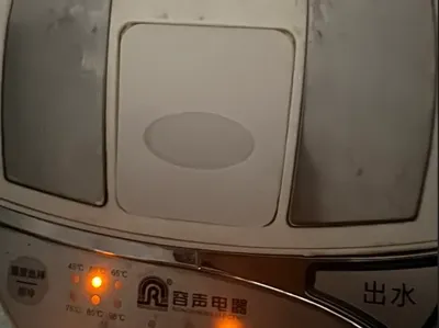 Ronshen Constant Temperature Electric Kettle - Lid Buckle Plate