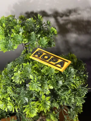 Ropa keychain