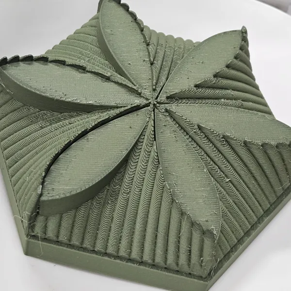https://makerworld.bblmw.com/makerworld/model/DSM00000000721452/design/2024-10-22_600ddd667858f.jpg