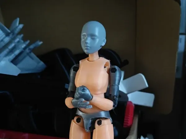 https://makerworld.bblmw.com/makerworld/model/DSM00000000721588/design/8236ada3-b32e-41d3-9fa7-0ab82200f212.webp