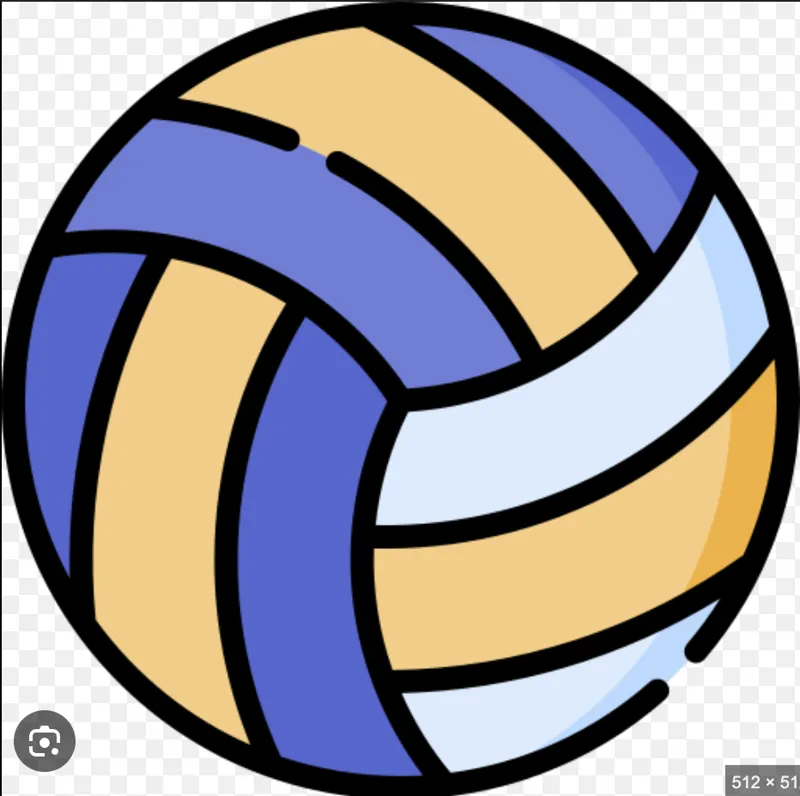 Volleyball tag design