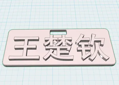 Wang Chuqin Nameplate