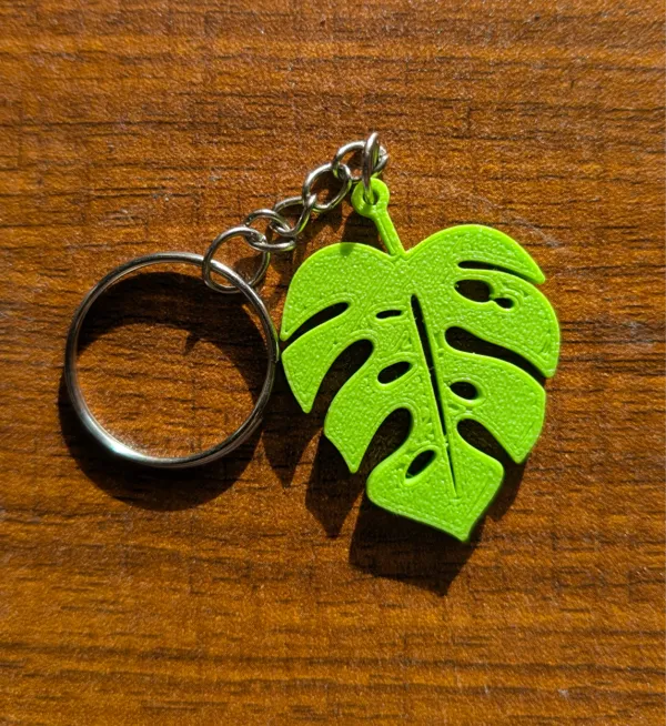 https://makerworld.bblmw.com/makerworld/model/DSM00000000724834/design/2024-10-23_47dbebc32ed8.jpg