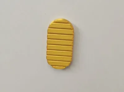 Charm Coin Fridge Magnet