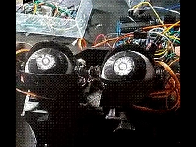 Animatronic eye mechanism FREE!