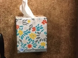 Puffs Tissue Box Holder v1