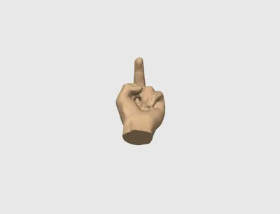 Middle Finger - Free 3D Print Model - MakerWorld