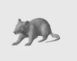 Ratte
