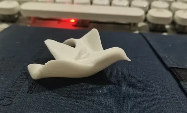 https://makerworld.bblmw.com/makerworld/model/DSM00000000730407/design/4e26d1ee-5012-4d38-a1db-18585d7b456c.webp