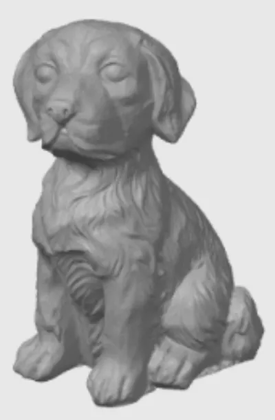 cute dog