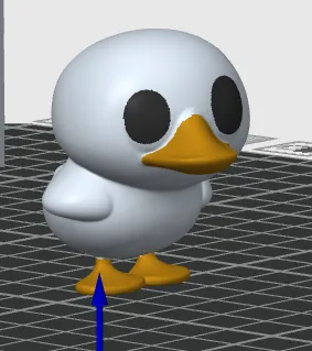 Duck