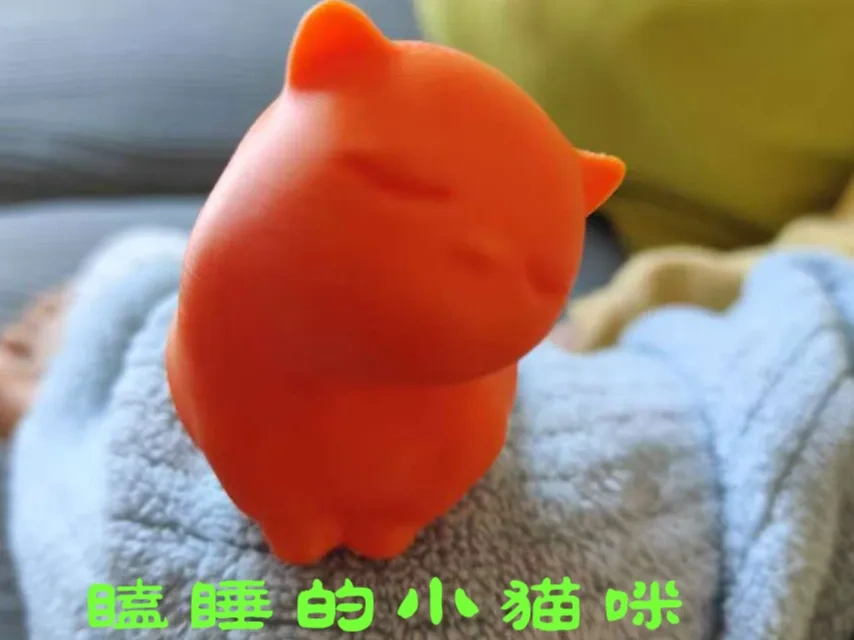 打瞌睡的小猫咪