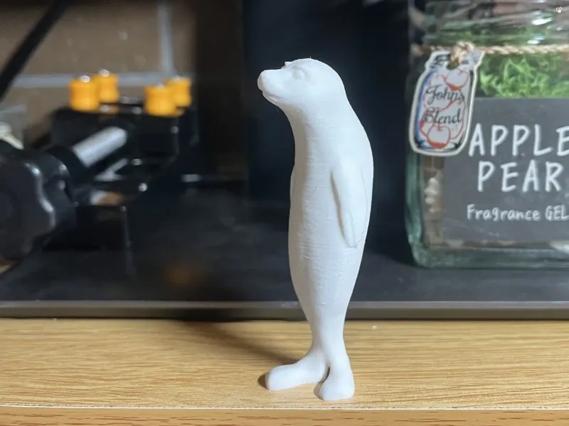 站立的海豹
