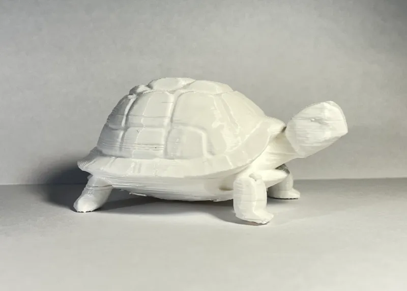 Cute little low poly turtle 