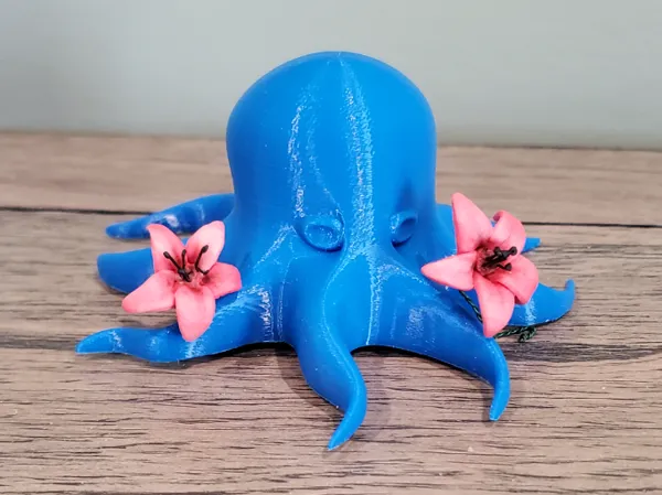 https://makerworld.bblmw.com/makerworld/model/DSM00000000736580/design/2024-10-27_df6e0e924be52.jpg
