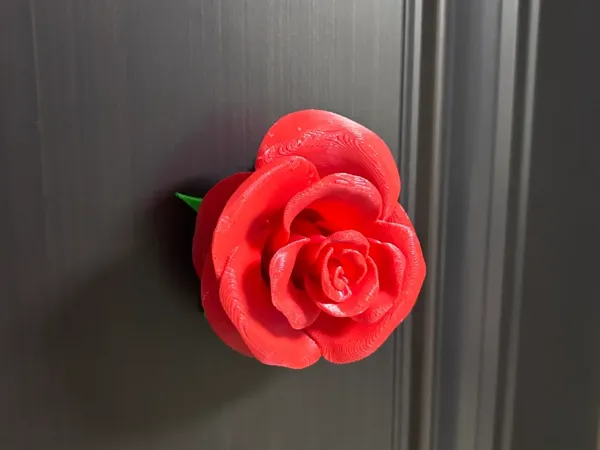 https://makerworld.bblmw.com/makerworld/model/DSM00000000736977/design/fe34a0aa-bffe-4631-9694-eb4e55c721e4.webp