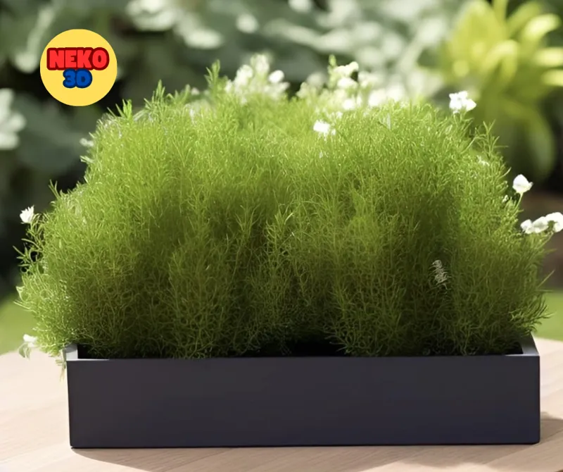 modern design rectangular planter