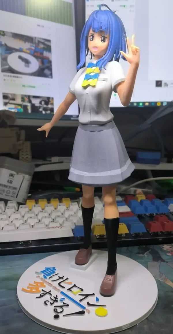 https://makerworld.bblmw.com/makerworld/model/DSM00000000737809/design/8ae60433-c944-48a8-a76b-9f5f3c651bf9.webp