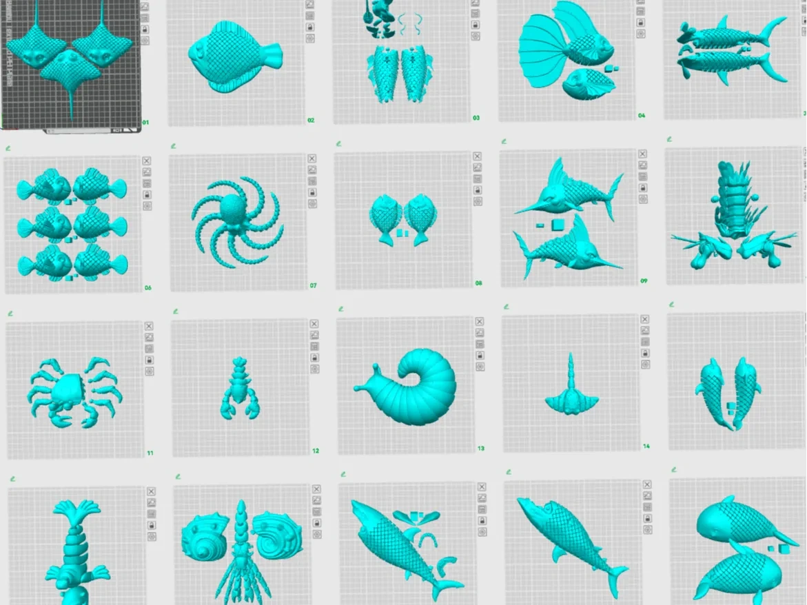 Complete Fish Collection by user_2745733882 - MakerWorld