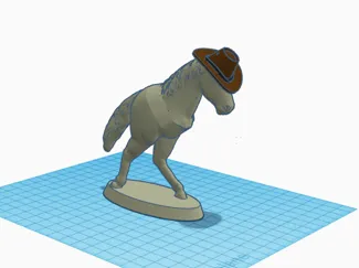 hat