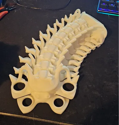 ISOPOD~TRILOBITE ~