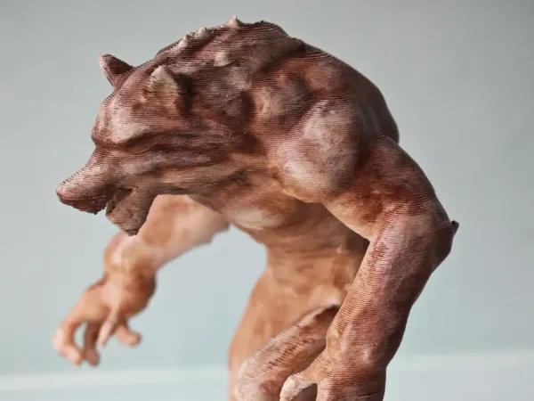 https://makerworld.bblmw.com/makerworld/model/DSM00000000747413/design/4d611aa7-530f-43f3-9b17-2d5ade763d5e.webp