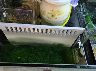 Red Sea Reefer350 v3 refugium baffle