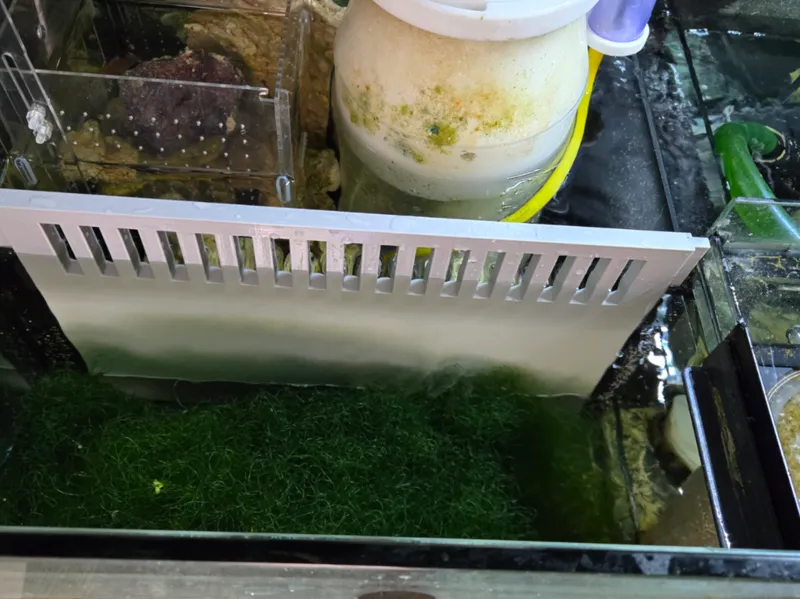 Red Sea Reefer350 v3 refugium baffle