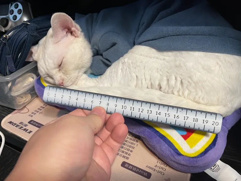 20cm rule