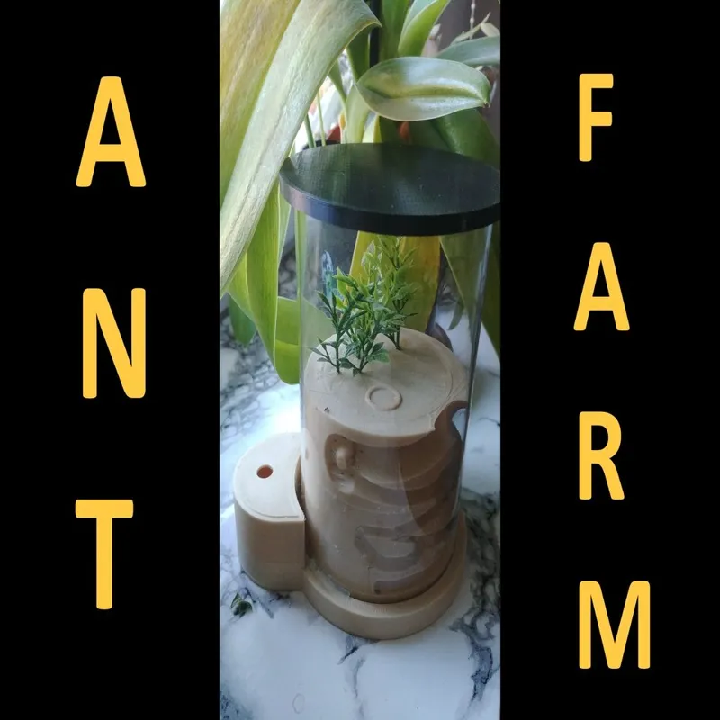 Ant Farm for small colonies