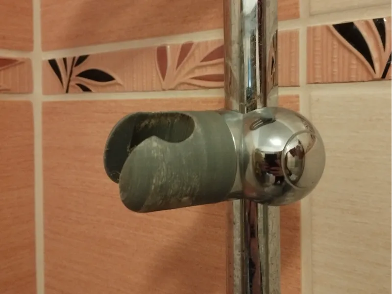 Shower holder