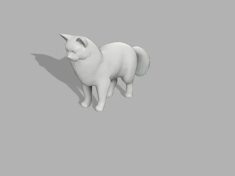 站立的猫