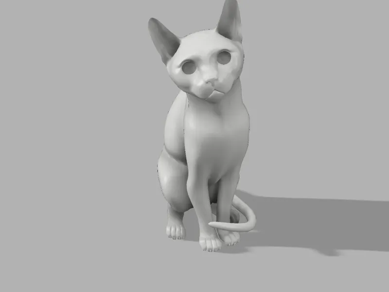 一只蹲着的猫
