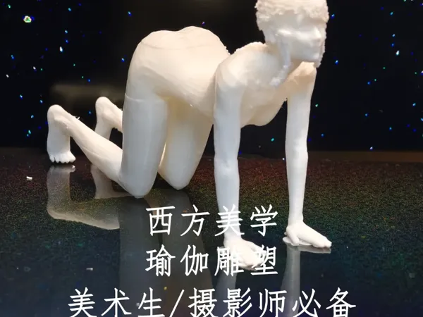 https://makerworld.bblmw.com/makerworld/model/DSM00000000754120/design/e01e5680-4f86-4e90-aa49-003626a591ae.webp