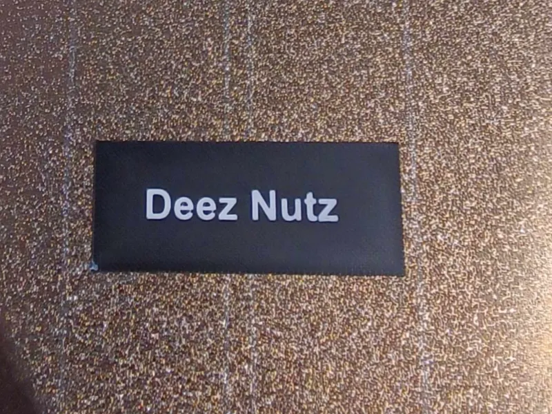 D e e z N u t z Tag