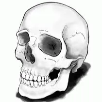 Skull light lamp