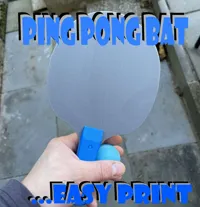Raquette de ping-pong — photo 1