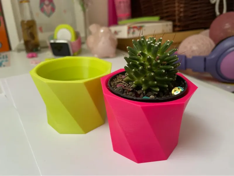 Cactus flower pot - small size