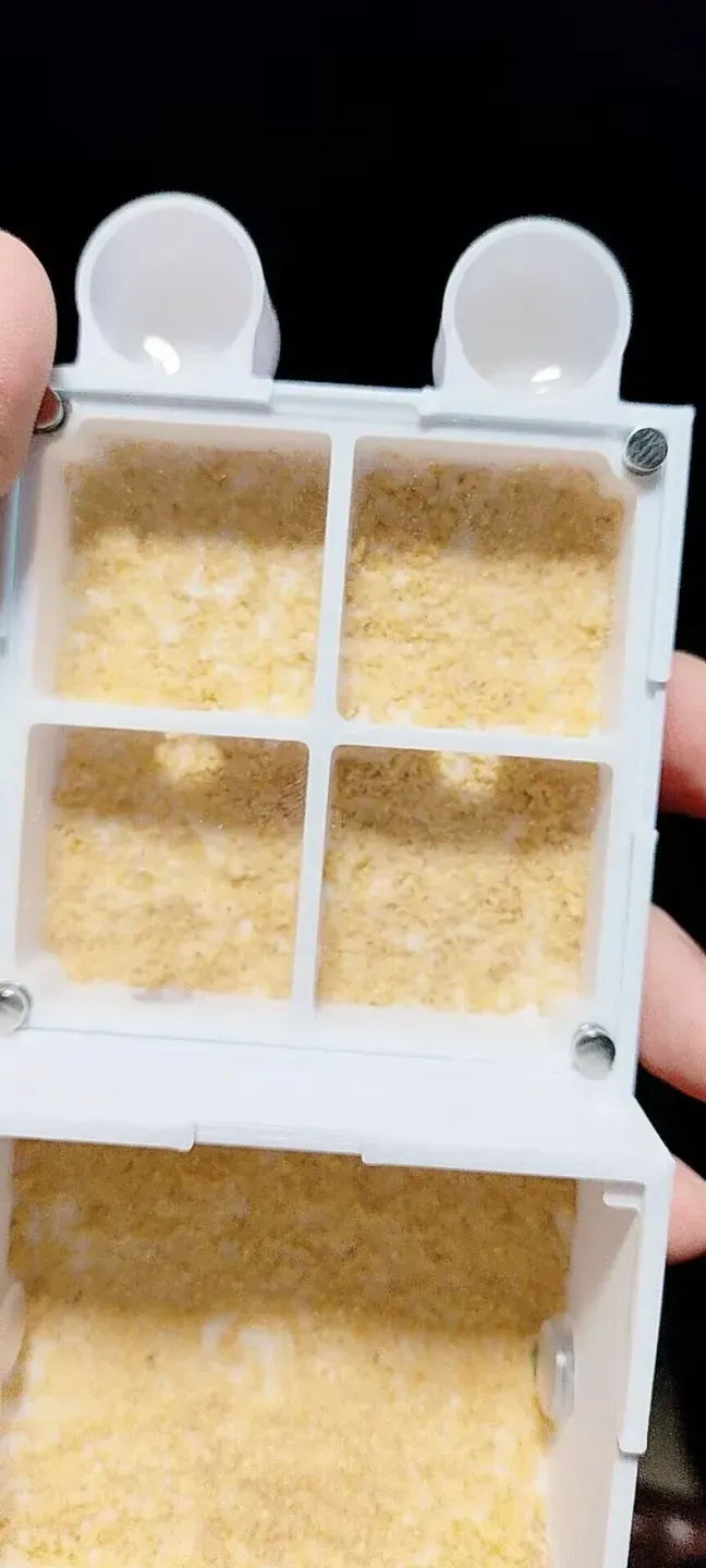 60mm4巢室介质保湿巢
