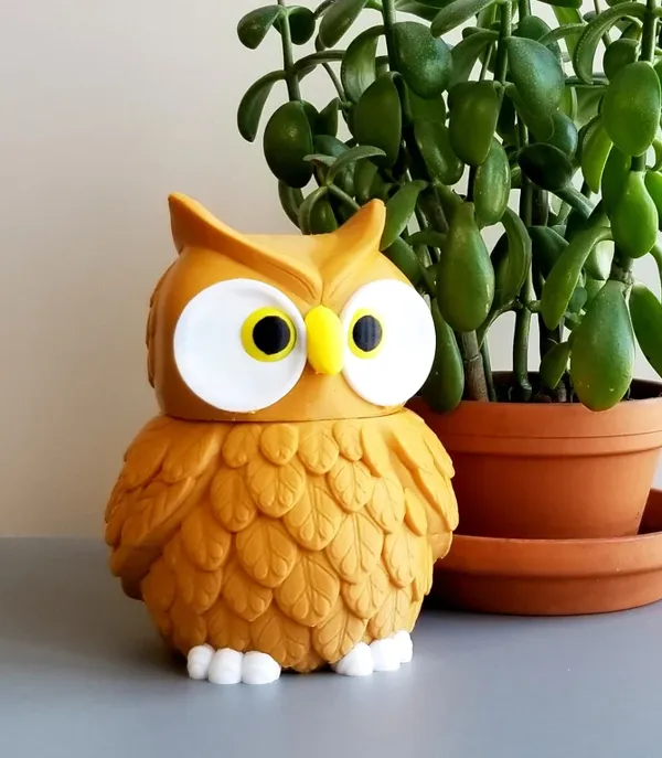 https://makerworld.bblmw.com/makerworld/model/DSM00000000763725/design/2024-11-06_ffc1dc19f51c88.webp
