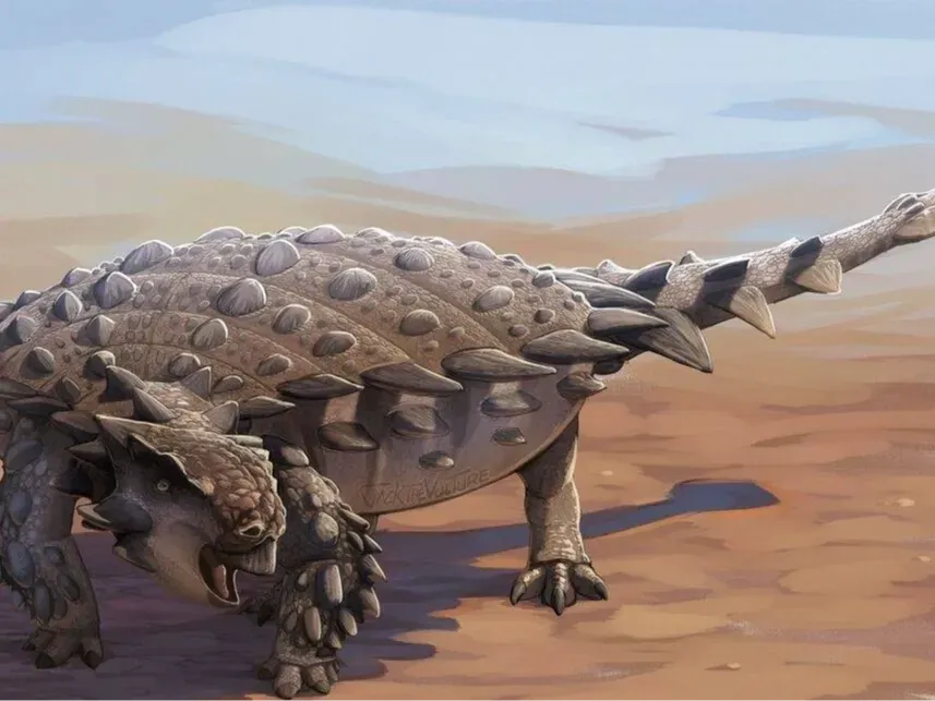 アンキロサウルス アニア ジュラシック・ワールド アンキロサウルス（アニアバトル