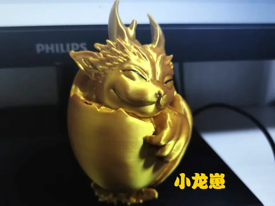 可爱的小龙崽